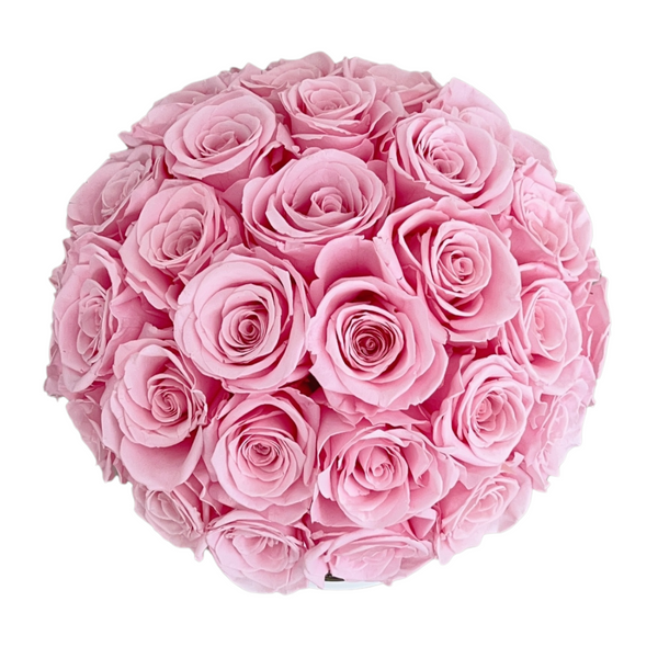 Baby Pink Rose Hamptons Vase