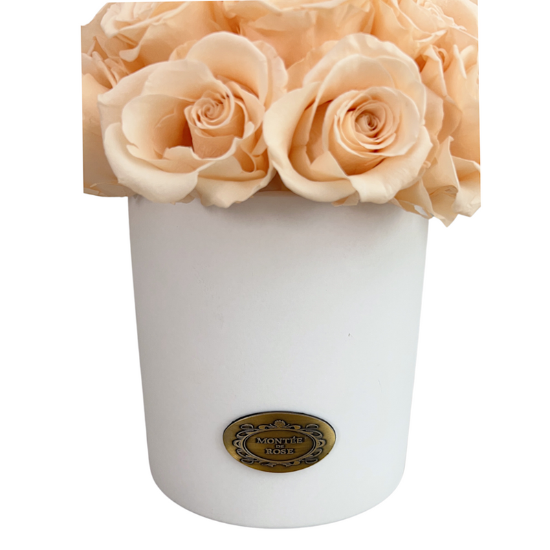 Cream Rose Hamptons Vase