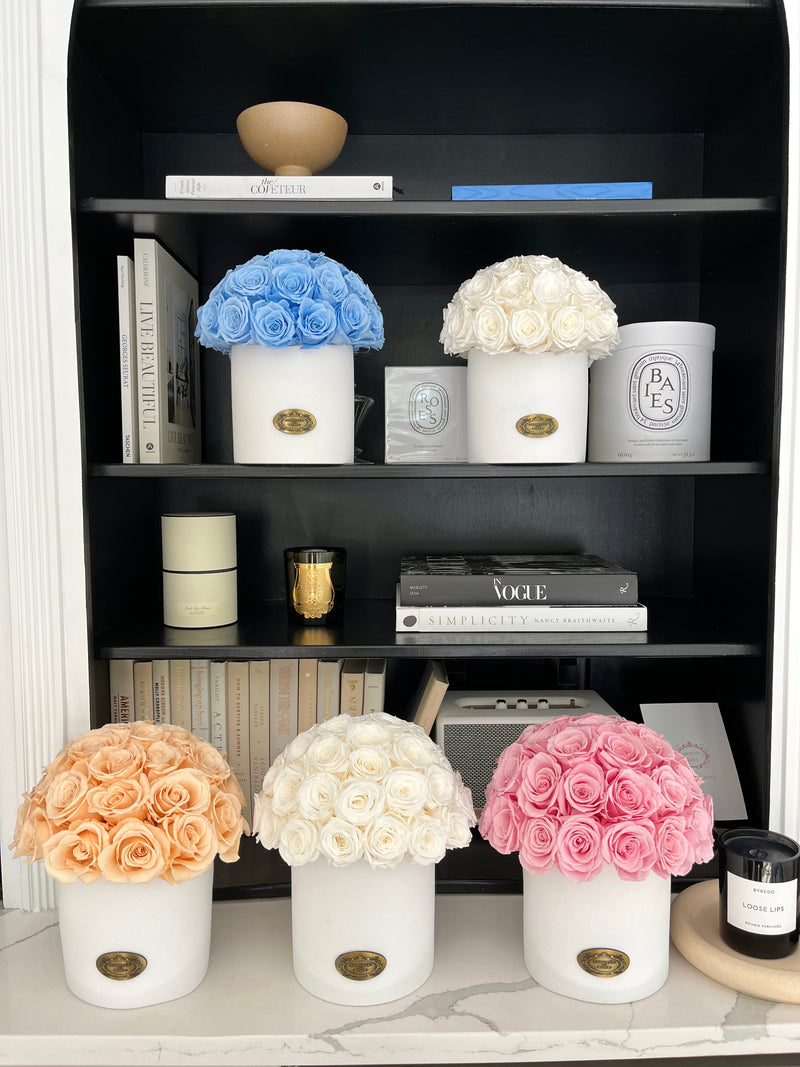 Cream Rose Hamptons Vase