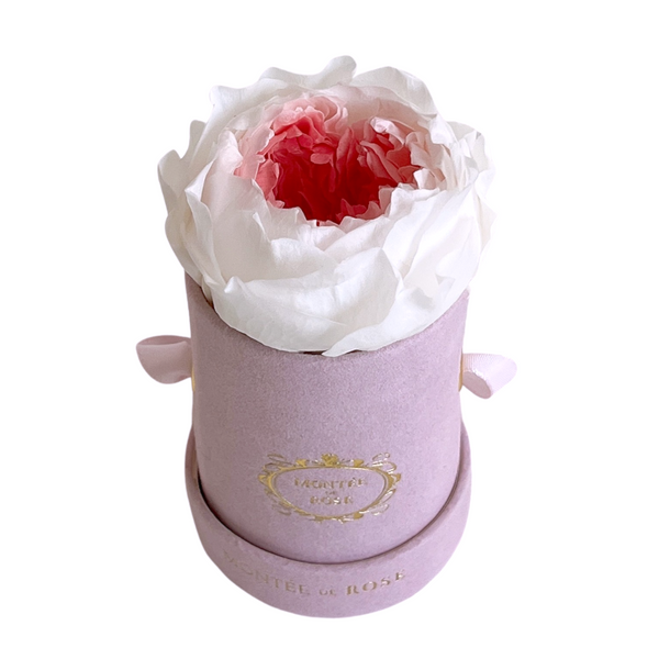 Single Suede Two-Toned Peony Box – Montée De Rose