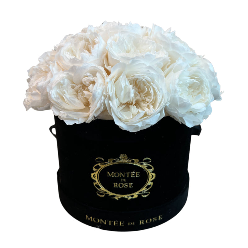 Black Suede Peony Dome