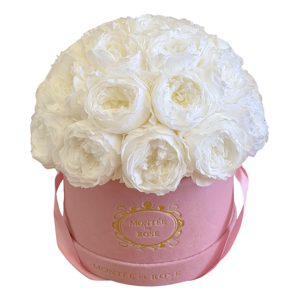 White Peony Dome in Pink Velvet Box – Montée De Rose