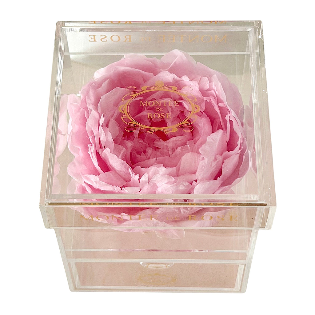 Eternal Peony Acrylic Jewelry Box Small – Montée De Rose
