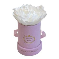 Single Gardenia in Pink Velvet Box