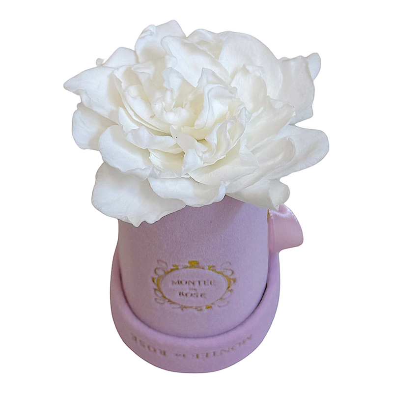 Single Gardenia in Pink Velvet Box