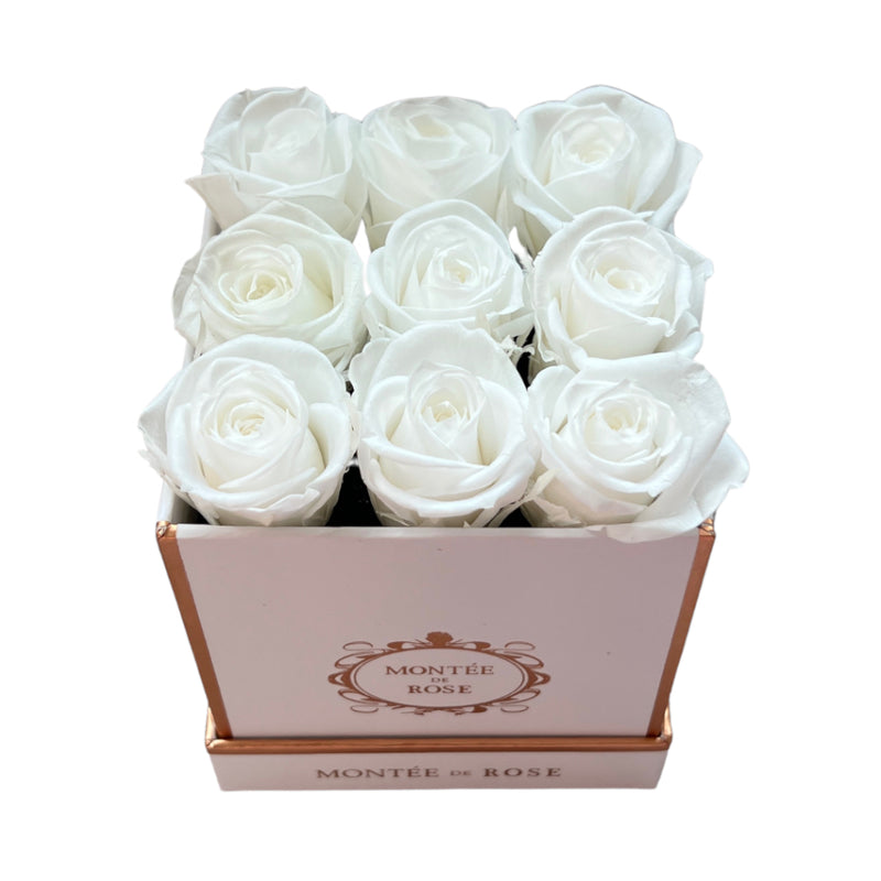 White Square La Petite Rose