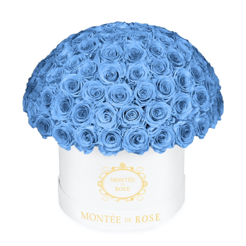 Dome White Roses White Large Dome – Montée De Rose