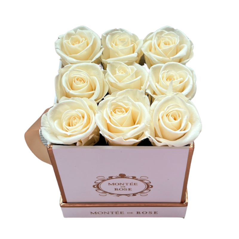 White Square La Petite Rose