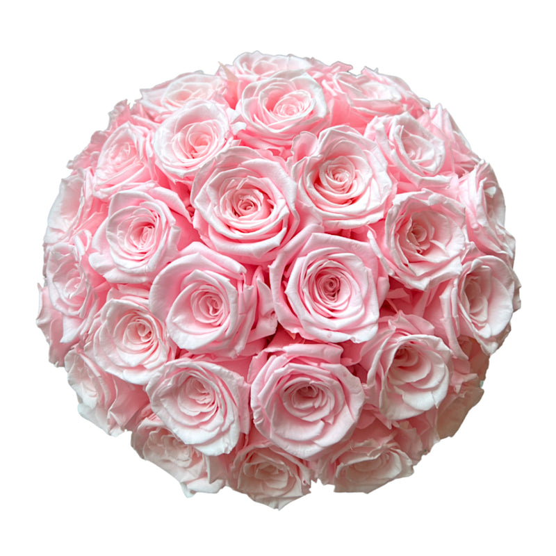 Dome White Roses White Medium Dome – Montée De Rose