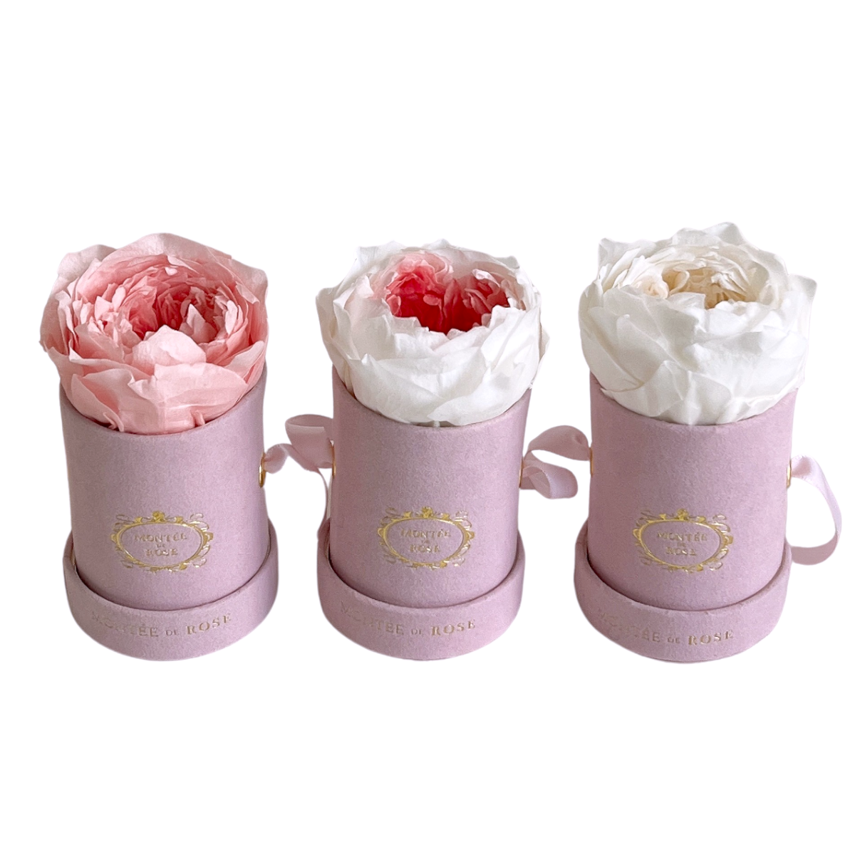 (新品未開封)peony the marshmallow bakery box THE MARSHMALLOW BAKERY BOX