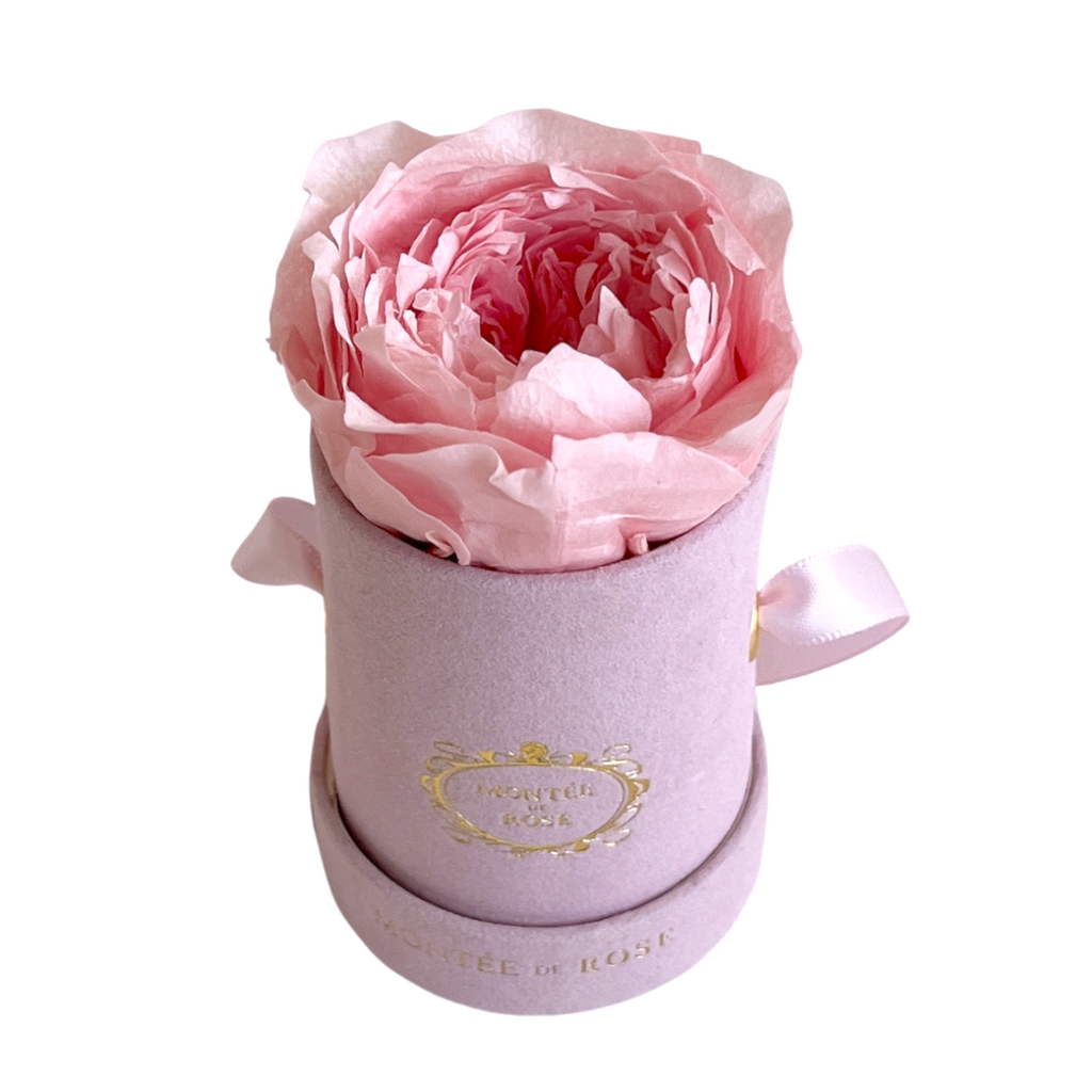 専用 stina P / pink peony ＆ champagne rose-