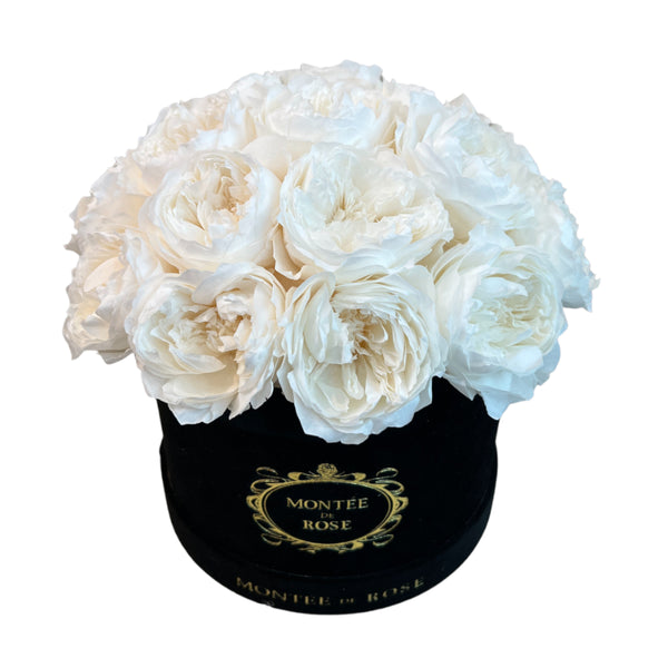 Black Suede Peony Dome